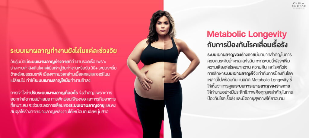 ระบบเผาผลาญแต่ละช่วงวัย เมื่ออายุเข้าสู่วัย 30+ ระบบเผาผลาญจะเริ่มช้าลง